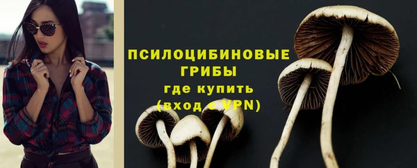 ECSTASY Алзамай