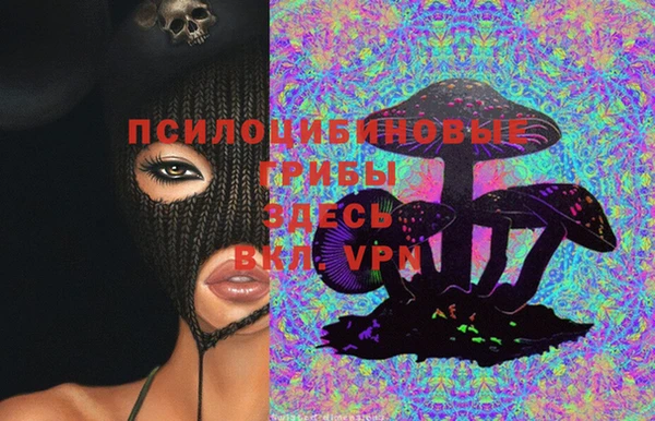 ПСИЛОЦИБИНОВЫЕ ГРИБЫ Армянск