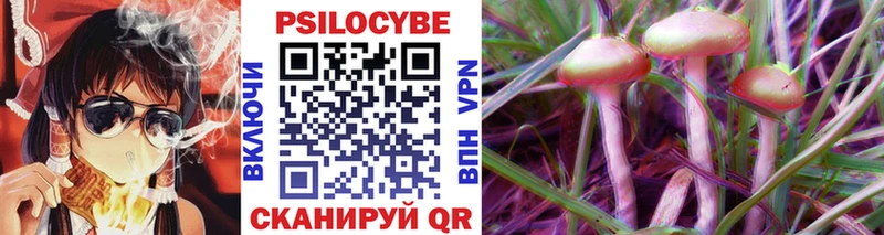 купить наркотик  Нурлат  Псилоцибиновые грибы Cubensis 
